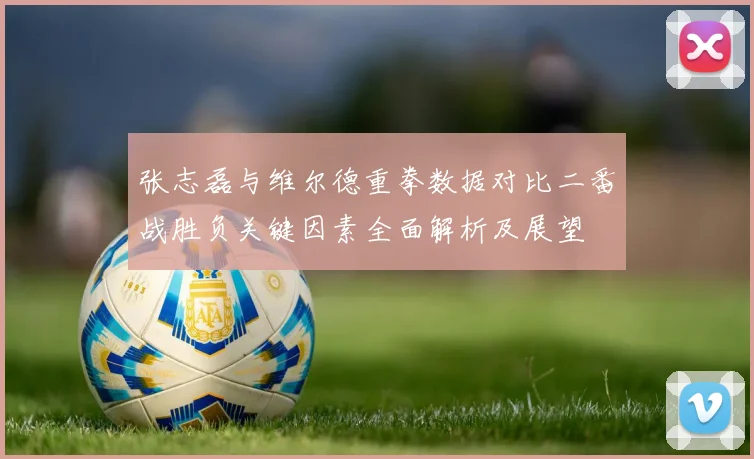 张志磊与维尔德重拳数据对比二番战胜负关键因素全面解析及展望