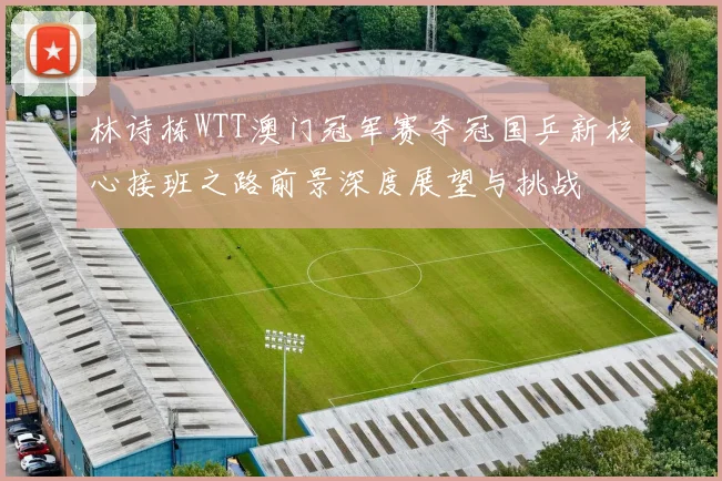 林诗栋WTT澳门冠军赛夺冠国乒新核心接班之路前景深度展望与挑战